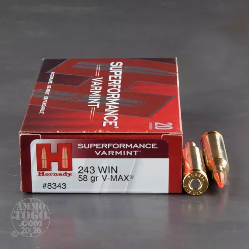 243 Winchester V-MAX Ammo for Sale by Hornady - 20 Rounds