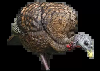 Avian-X LCD Feeder Hen Turkey Decoy
