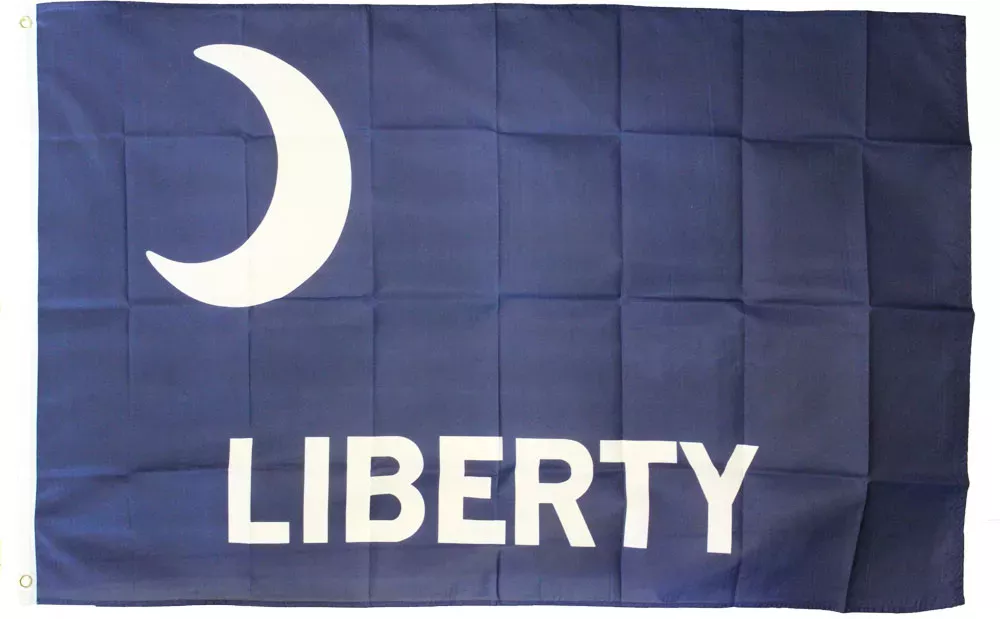 Fort Moultrie – 3’X5′ Polyester Flag
