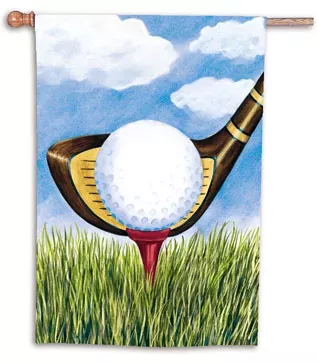 Hole In One Toland Art Banner