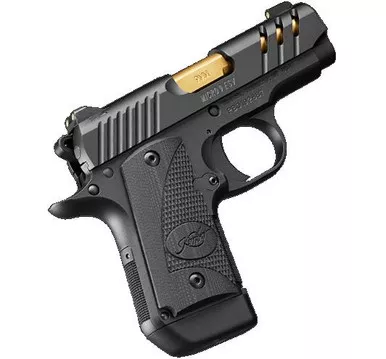 Micro 9 ESV Black 9mm
